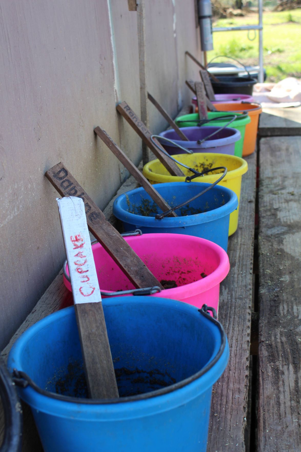 Supplement mixing pails at Sunrise Horse Rescue